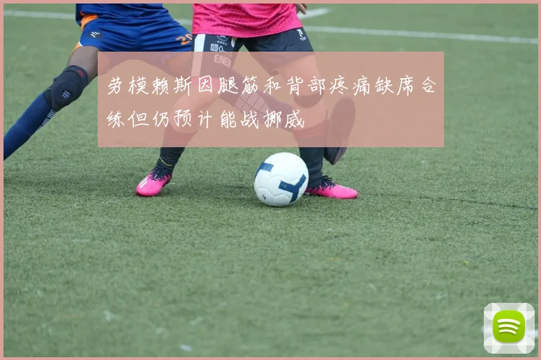 劳模赖斯因腿筋和背部疼痛缺席合练但仍预计能战挪威